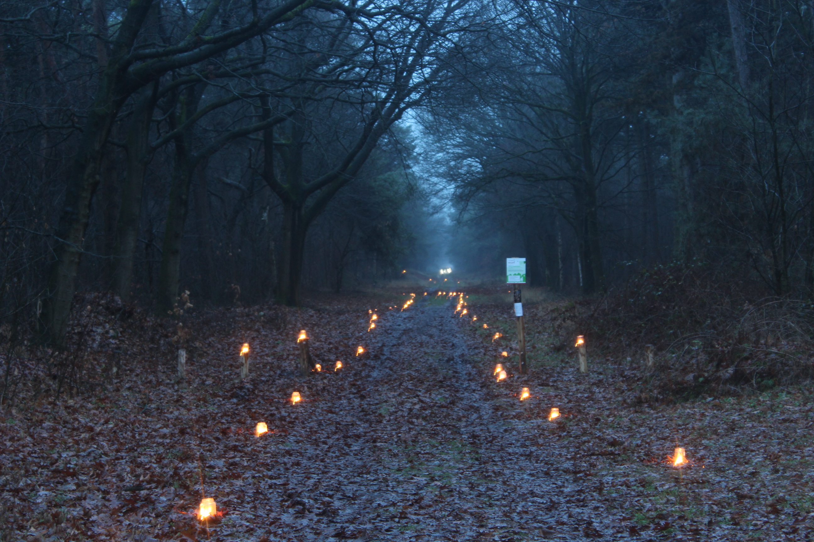 Kerstlichtjeswandeling Vredepeel