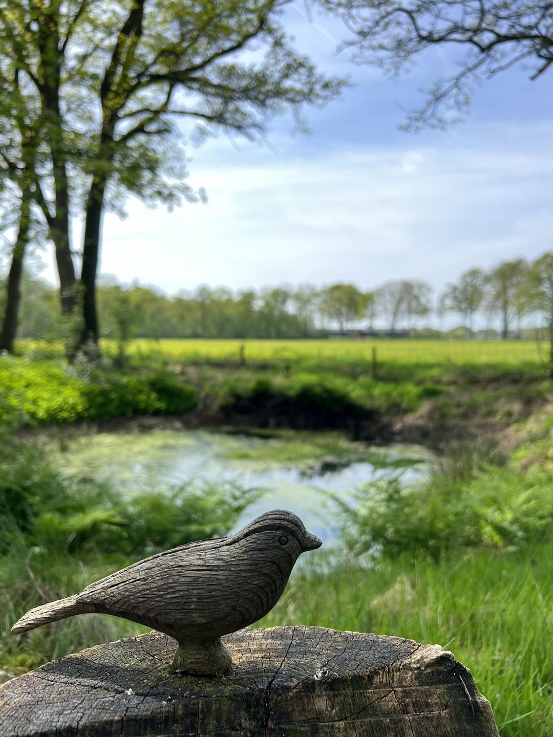 Vogelwandeling Weverslo 002