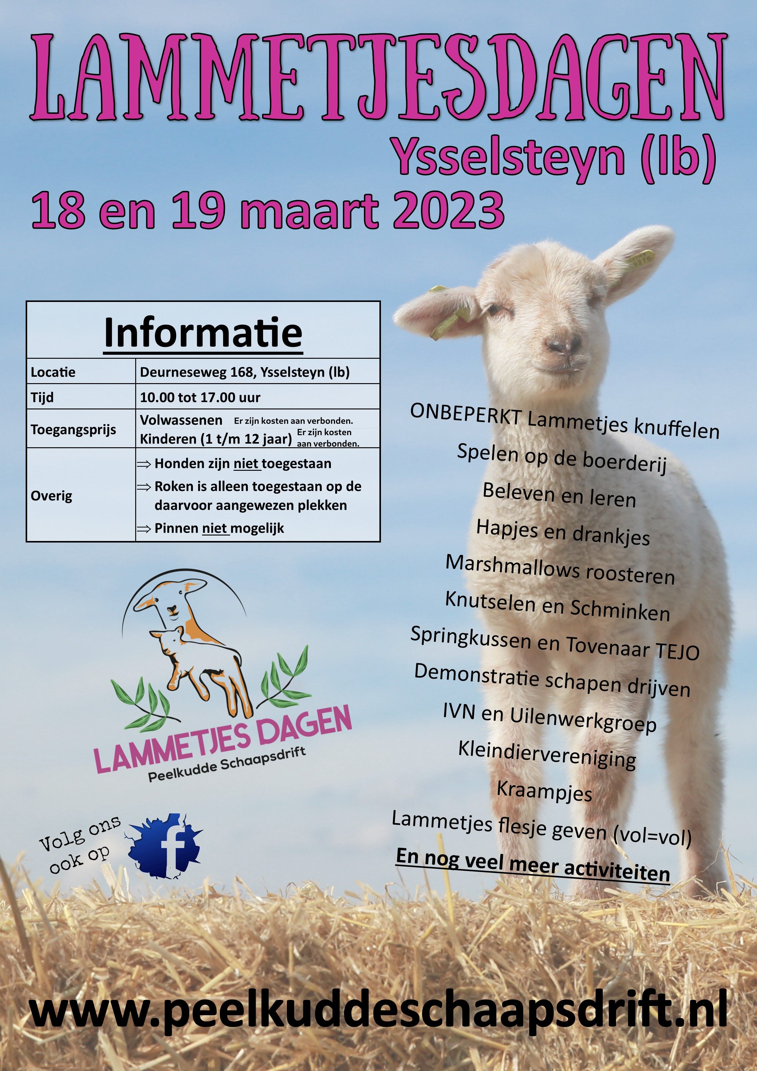 Poster 2 lammetjes