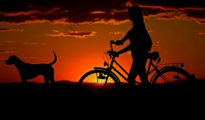 Waarom een hond je helpt om meer te bewegen zonder dat je het doorhebt