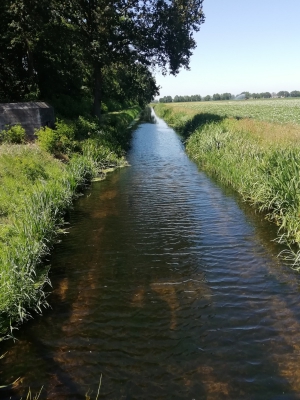 Defensiekanaal