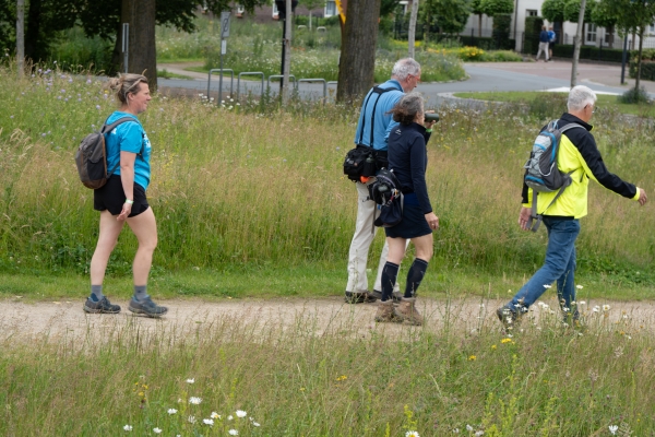 Slotdag wandelevenement Venray trekt recordaantal van 4.049 deelnemers