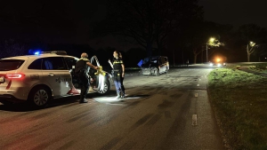 Busje botst tegen boom nabij Castenray