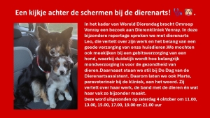 Een kijkje achter de schermen bij de dierenarts!