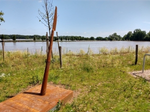 Gezinswandeling in het Maaspark in Blitterswijck