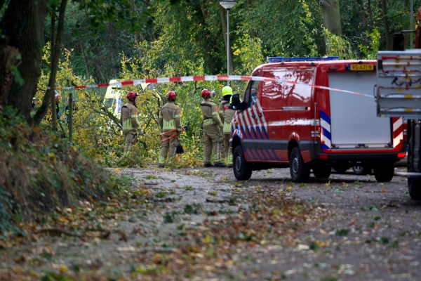 Man (59) uit Overloon komt om het leven door omgewaaide boom