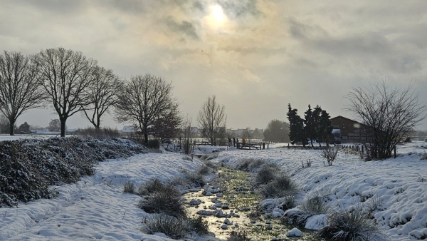 Winterwandeling Meerlo