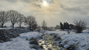 Winterwandeling Meerlo