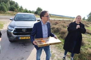 Bosbeheer 