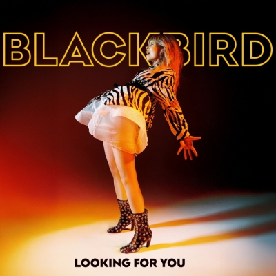 Blackbird