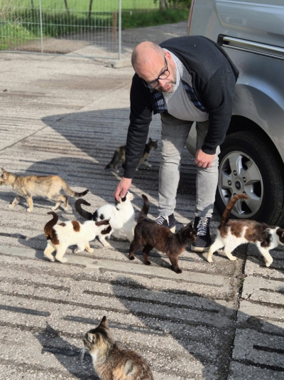 Tientallen katten aan hun lot overgelaten op verlaten camping Ysselsteyn