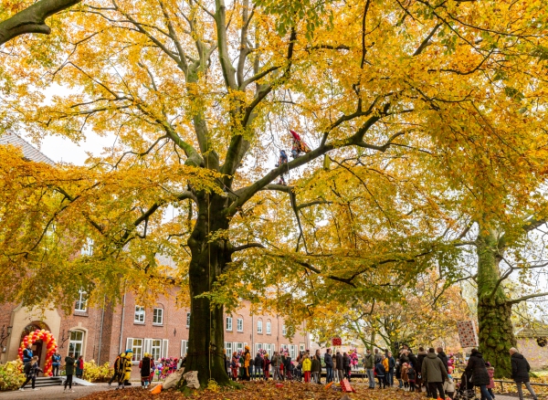 Sinterklaas in de Gemeentetuin