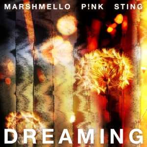 Marshmello, P!nk &amp; Sting