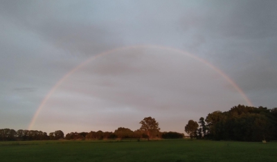 Grote zorgen over bouw zonnepark op Venrays Broek