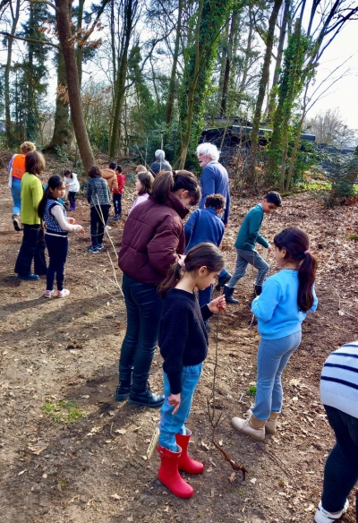 Odapark heeft een Bomenkraamkamer