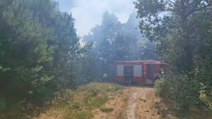 Natuurbrand in Overloon