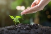 Gemeente Venray biedt financiële ondersteuning voor groene en sociale initiatieven