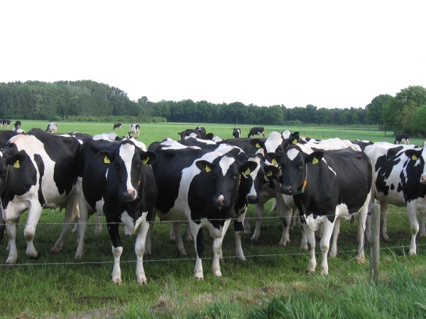 Infoavond Werkgroep Land- en Tuinbouw Noord-Limburg