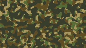 Camouflage