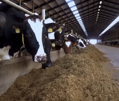 Vreba Melkvee Vredepeel biedt defensie uitkomst voor energietekort